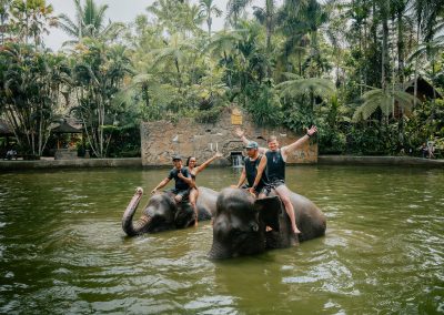 Bali Elephant Mud Tour