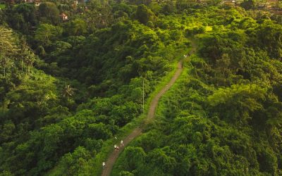 Jungle Trekking in Ubud: Discover Hidden Waterfalls and Lush Rainforests