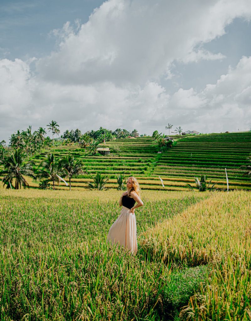 a woman standing in a rice terrace, Bali