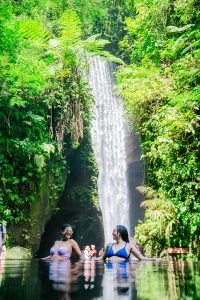 goa raja waterfall - Bali