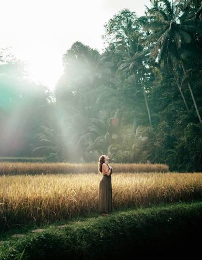 rice terrace - bali tour legendary
